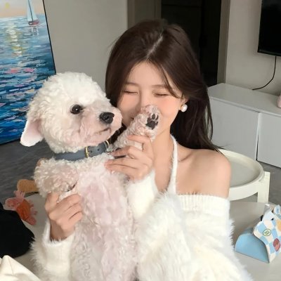 十楼的蚊
